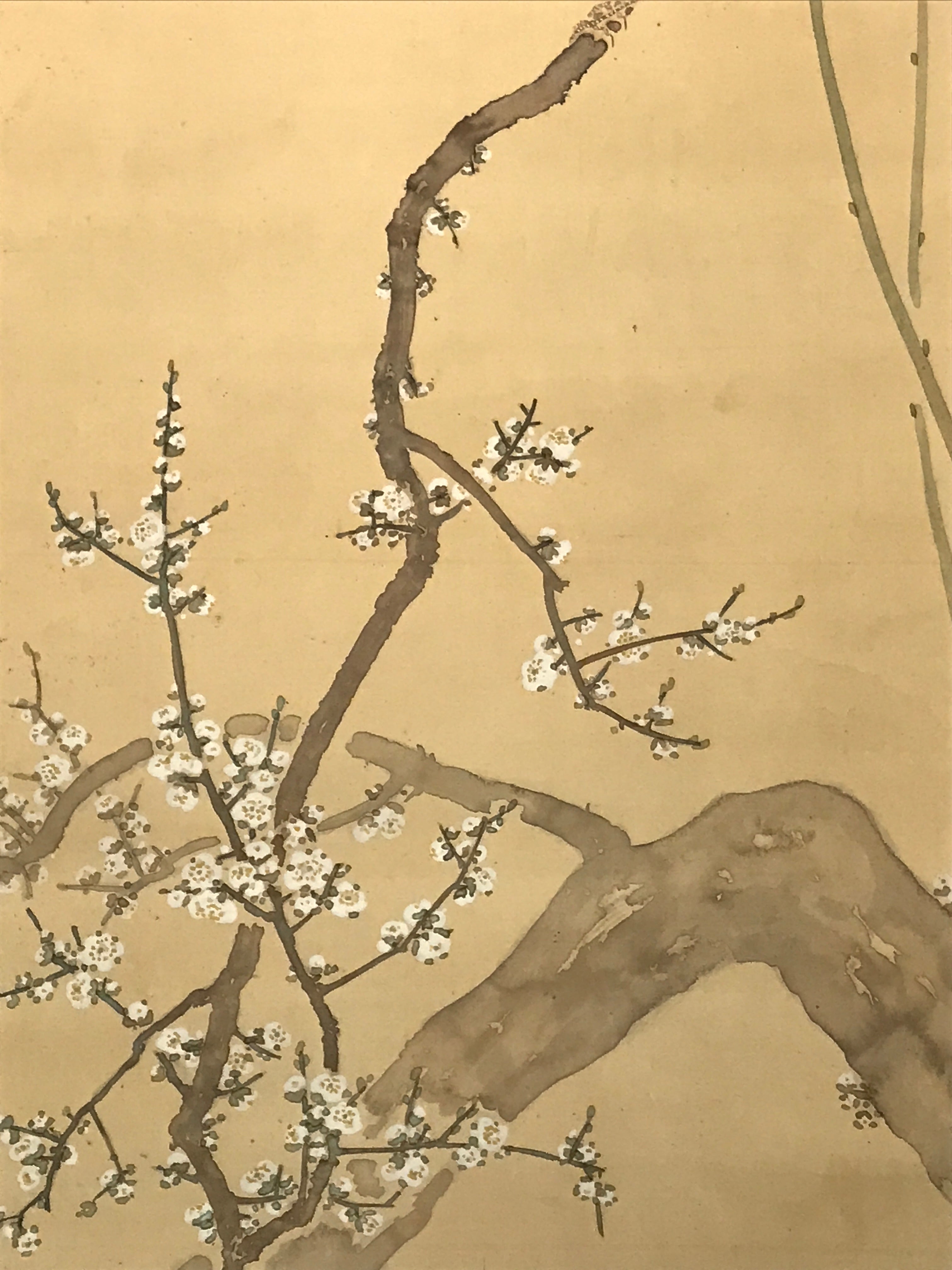 Japanese Hanging Scroll Kakejiku Vtg Plum Blossom Sparrow Bird Color Ink KJ97