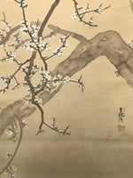 Japanese Hanging Scroll Kakejiku Vtg Plum Blossom Sparrow Bird Color Ink KJ97