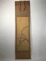 Japanese Hanging Scroll Kakejiku Vtg Plum Blossom Sparrow Bird Color Ink KJ97