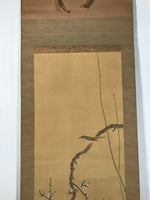Japanese Hanging Scroll Kakejiku Vtg Plum Blossom Sparrow Bird Color Ink KJ97