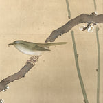 Japanese Hanging Scroll Kakejiku Vtg Plum Blossom Sparrow Bird Color Ink KJ97