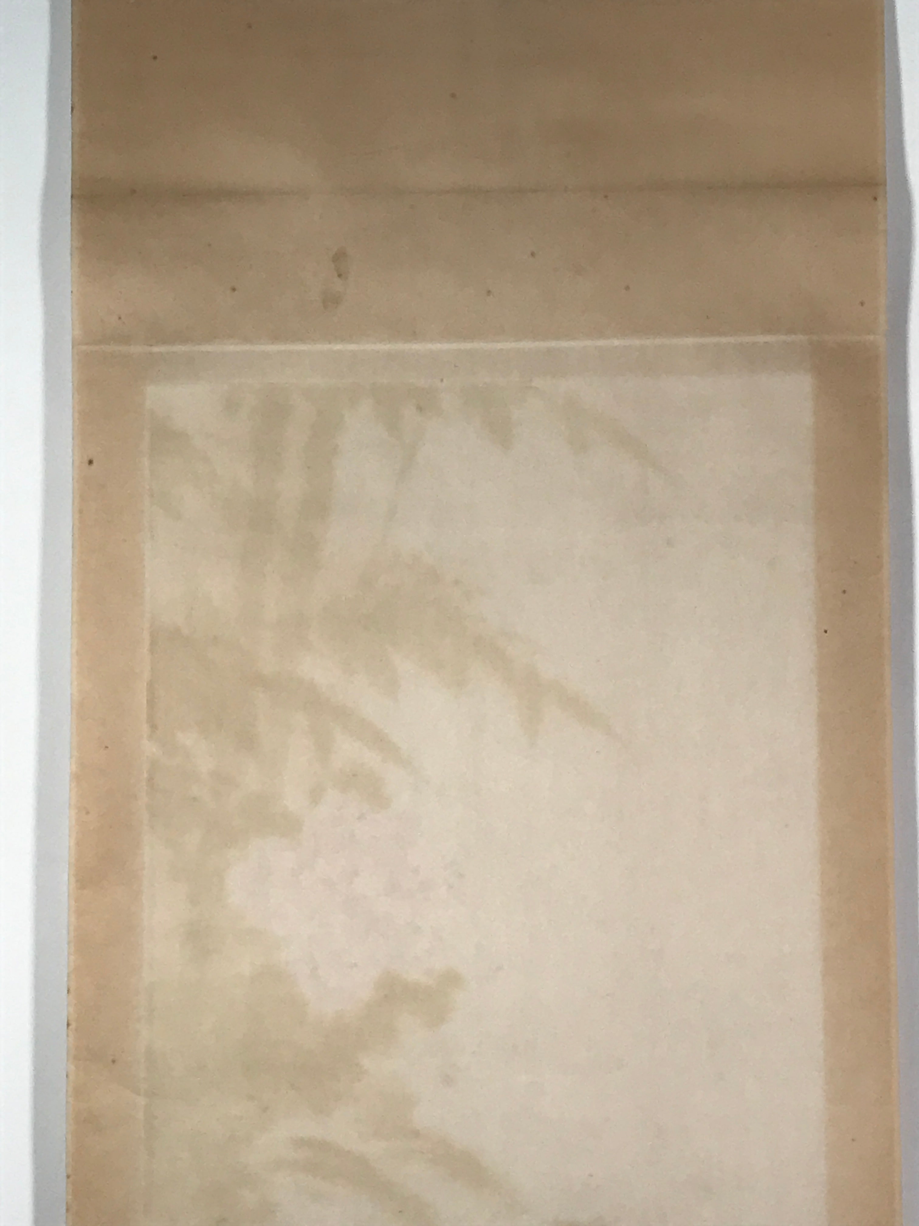 Japanese Hanging Scroll Kakejiku Vtg Plum Peony Flowers Bird Kacho Color KJ78