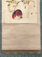 Japanese Hanging Scroll Kakejiku Vtg Pomegranate Ripe Fruit Color Ink Red KJ95