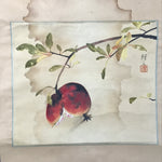 Japanese Hanging Scroll Kakejiku Vtg Pomegranate Ripe Fruit Color Ink Red KJ95