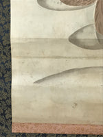 Japanese Hanging Scroll Kakejiku Vtg River Ducks Birds Nature Color KJ123