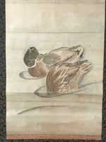 Japanese Hanging Scroll Kakejiku Vtg River Ducks Birds Nature Color KJ123