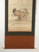 Japanese Hanging Scroll Kakejiku Vtg River Ducks Birds Nature Color KJ123