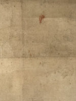 Japanese Hanging Scroll Kakejiku Vtg River Ducks Birds Nature Color KJ123