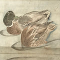 Japanese Hanging Scroll Kakejiku Vtg River Ducks Birds Nature Color KJ123