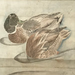 Japanese Hanging Scroll Kakejiku Vtg River Ducks Birds Nature Color KJ123