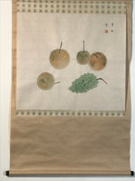 Japanese Hanging Scroll Kakejiku Vtg Still Life Fruits Pear Grapes Color KJ167