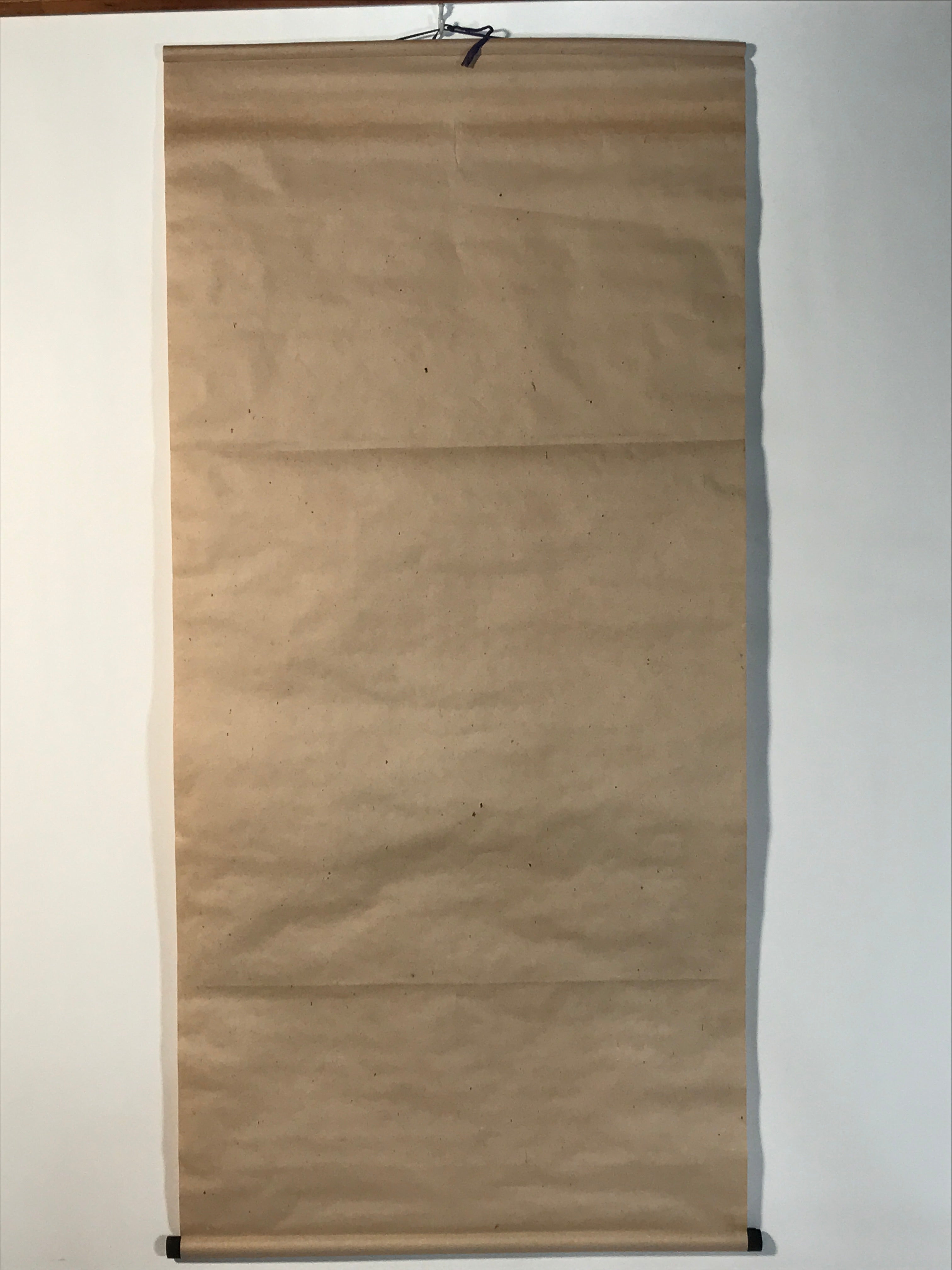 Japanese Hanging Scroll Kakejiku Vtg Still Life Fruits Pear Grapes Color KJ167