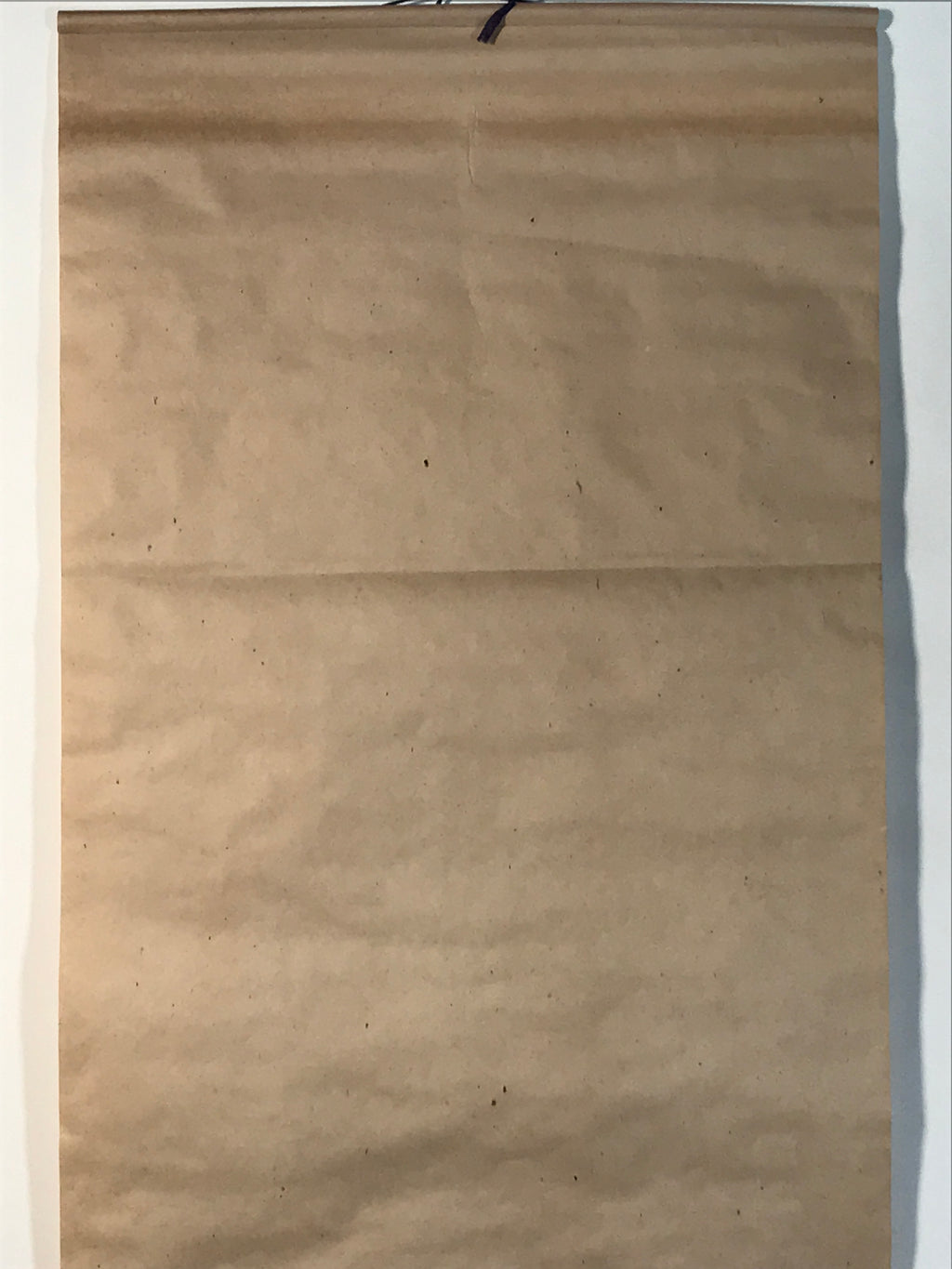 Japanese Hanging Scroll Kakejiku Vtg Still Life Fruits Pear Grapes Color KJ167