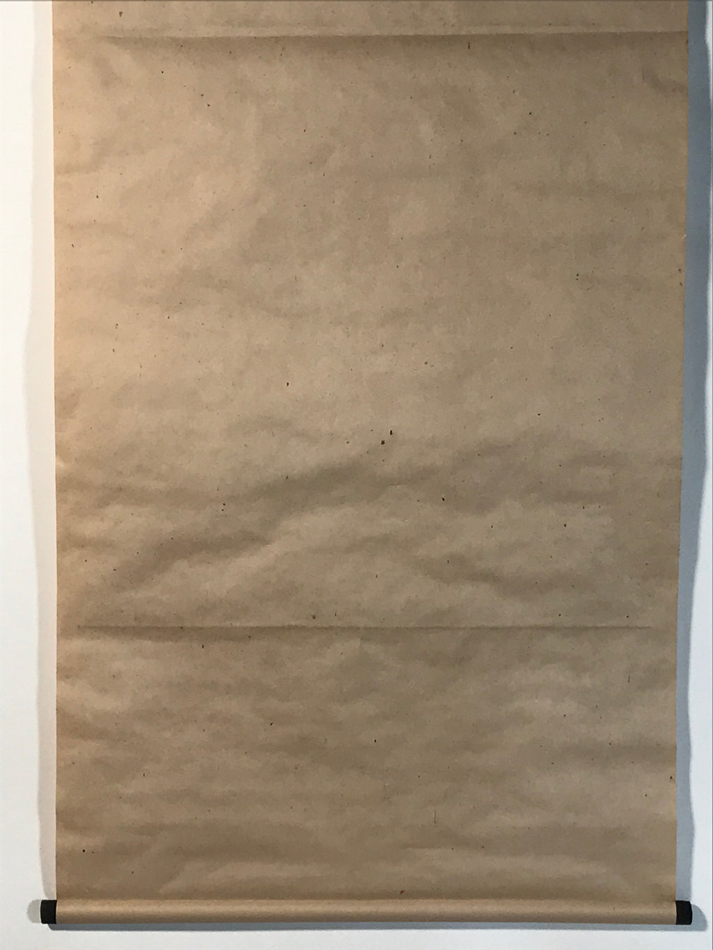 Japanese Hanging Scroll Kakejiku Vtg Still Life Fruits Pear Grapes Color KJ167