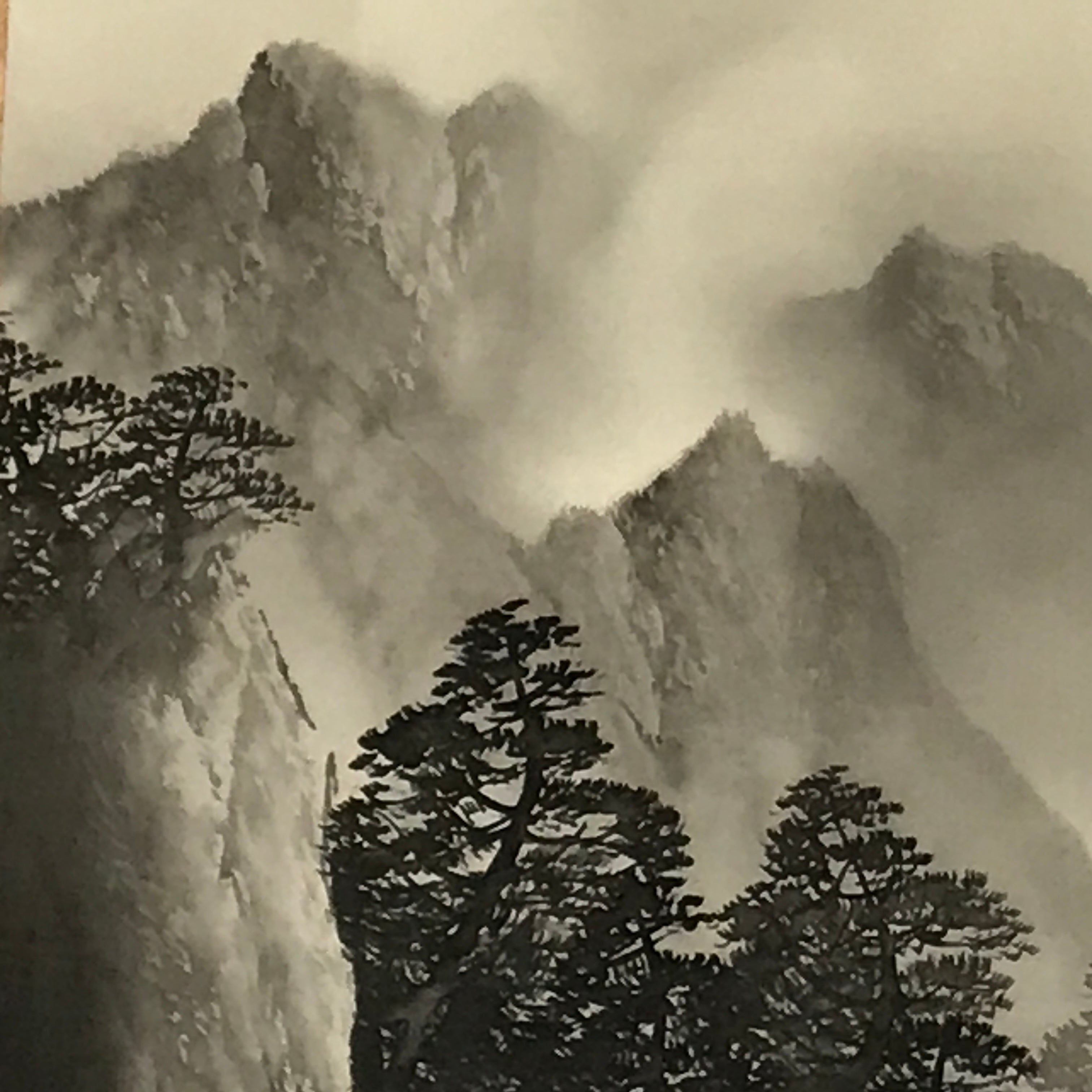 Japanese Hanging Scroll Kakejiku Vtg Waterfall Mountain Tree Sansui Black KJ114
