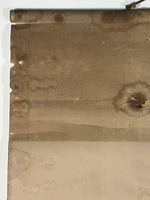 Japanese Hanging Scroll Kakejiku Vtg Waterfall Mountain Tree Sansui Black KJ118