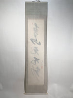 Japanese Hanging Scroll Kakejiku Vtg Zen Calligraphy 5 Characters Black KJ175