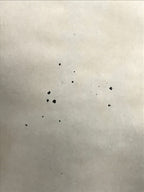Japanese Hanging Scroll Namu Amida Butsu Calligraphy Buddhist Kakejiku KJ16