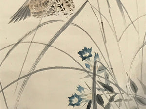 Japanese Hanging Scroll Quails Birds Bell Flowers Pampas Grass Kakejiku KJ27