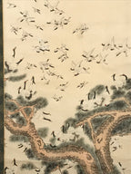 Japanese Hanging Scroll Vtg 100 Cranes Pine Tree Kakejiku Makimono SC807