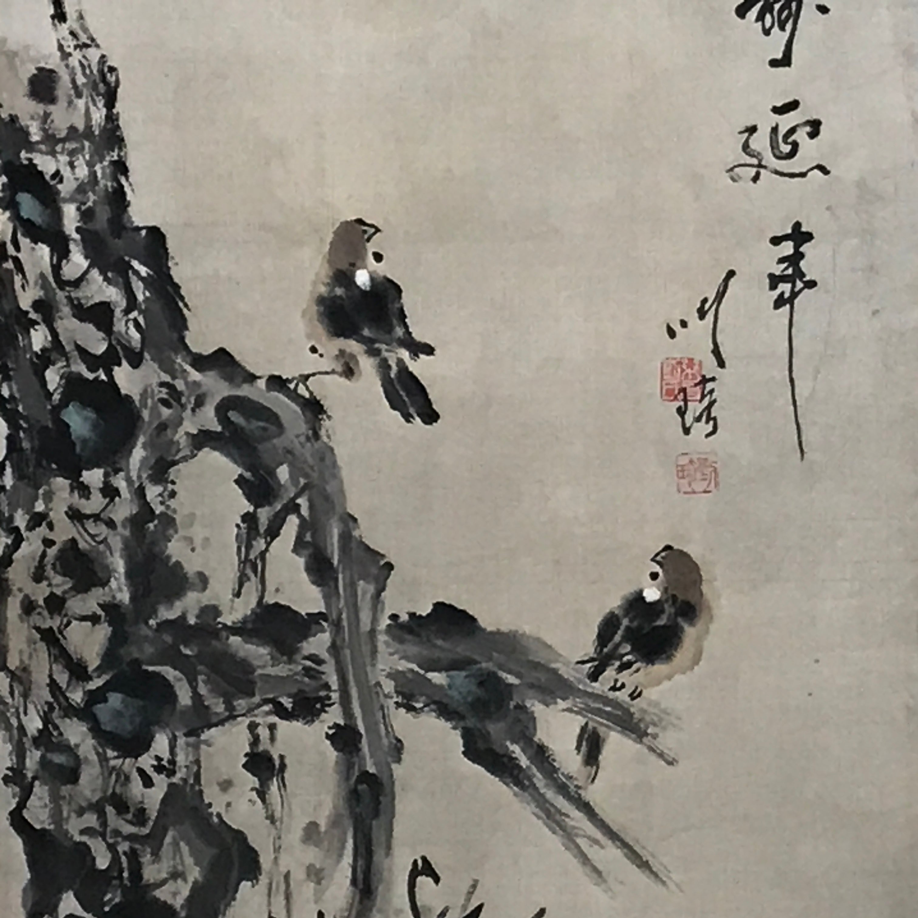 Japanese Hanging Scroll Vtg 2 House Sparrows Birds Branch Kacho Kakejiku SC884