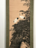 Japanese Hanging Scroll Vtg 2 White Cranes Pine Tree Kakejiku Chagake SC907