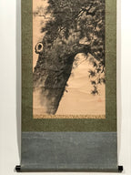 Japanese Hanging Scroll Vtg 2 White Cranes Pine Tree Kakejiku Chagake SC907