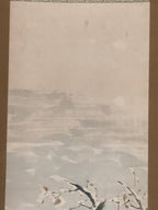 Japanese Hanging Scroll Vtg Bird Snow Trees Winter Scenery Kakejiku SC815