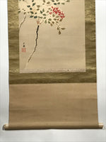 Japanese Hanging Scroll Vtg Bird Tree Branch Snow Winter Kacho Kakejiku SC842