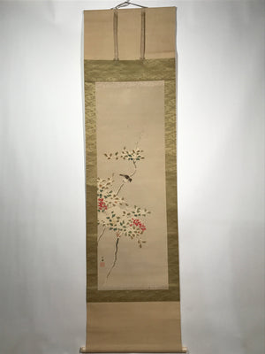 Japanese Hanging Scroll Vtg Bird Tree Branch Snow Winter Kacho Kakejiku SC842