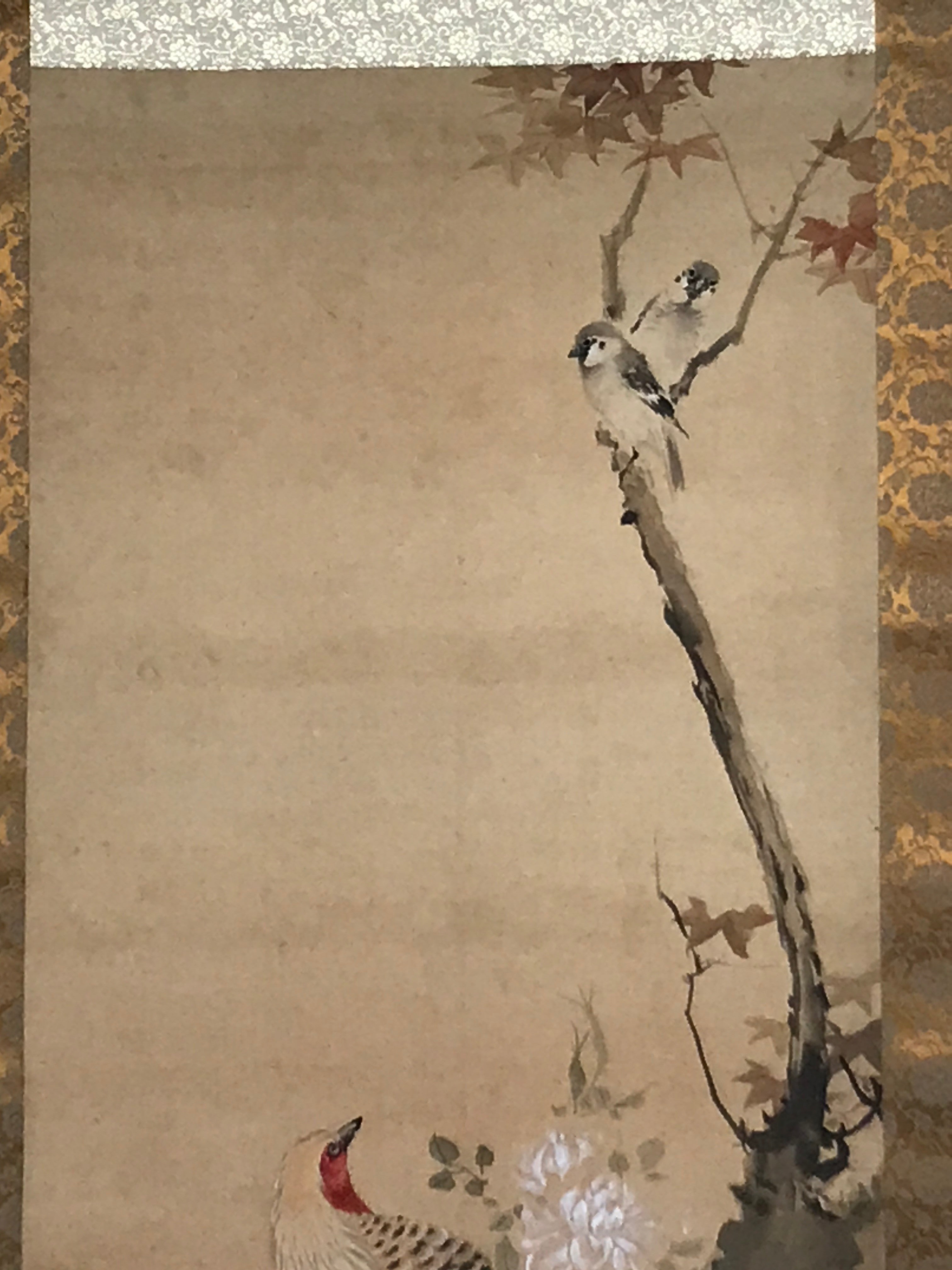 Japanese Hanging Scroll Vtg Colorful Birds Tree Flowers Kacho Kakejiku SC840