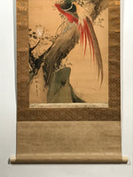 Japanese Hanging Scroll Vtg Colorful Birds Tree Flowers Kacho Kakejiku SC840