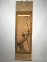 Japanese Hanging Scroll Vtg Colorful Birds Tree Flowers Kacho Kakejiku SC840