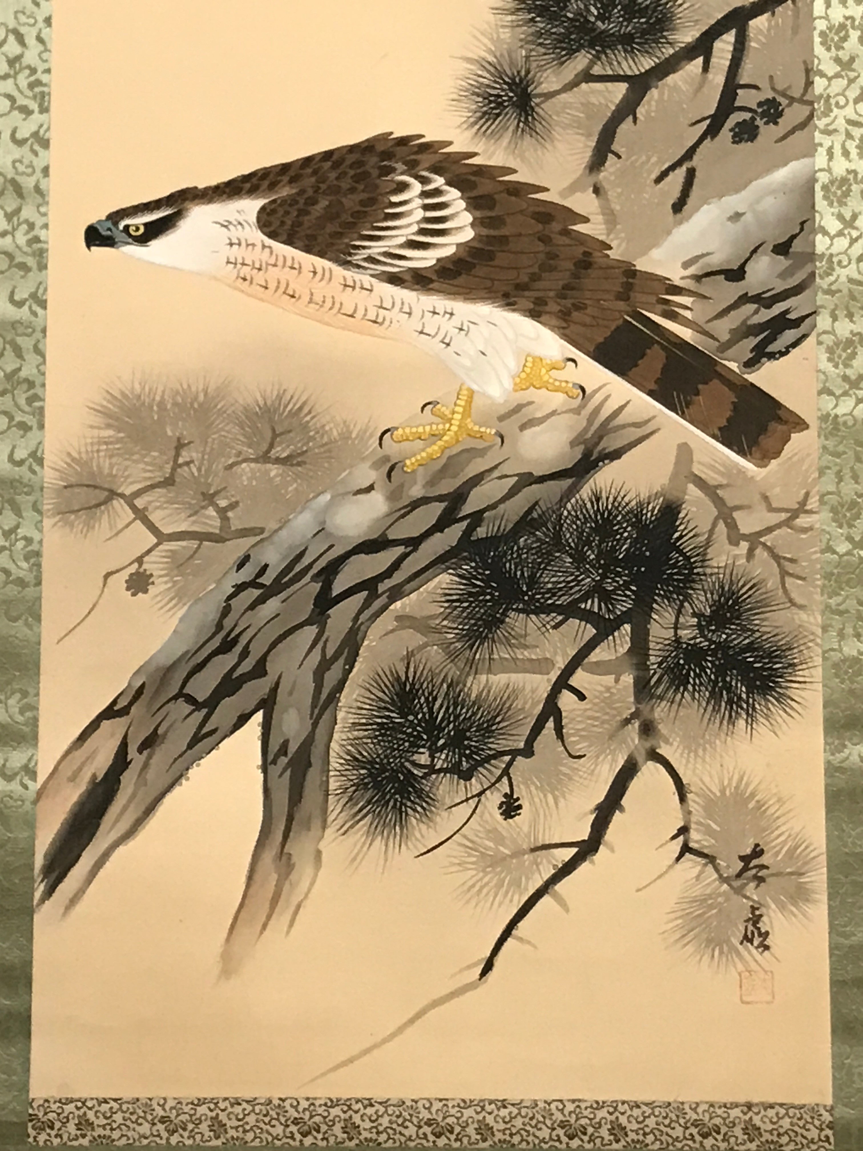 Japanese Hanging Scroll Vtg Hawk On Tree Mt Fuji Brown Yellow Kakejiku SC824