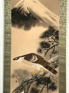 Japanese Hanging Scroll Vtg Hawk On Tree Mt Fuji Brown Yellow Kakejiku SC824