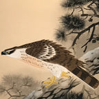 Japanese Hanging Scroll Vtg Hawk On Tree Mt Fuji Brown Yellow Kakejiku SC824