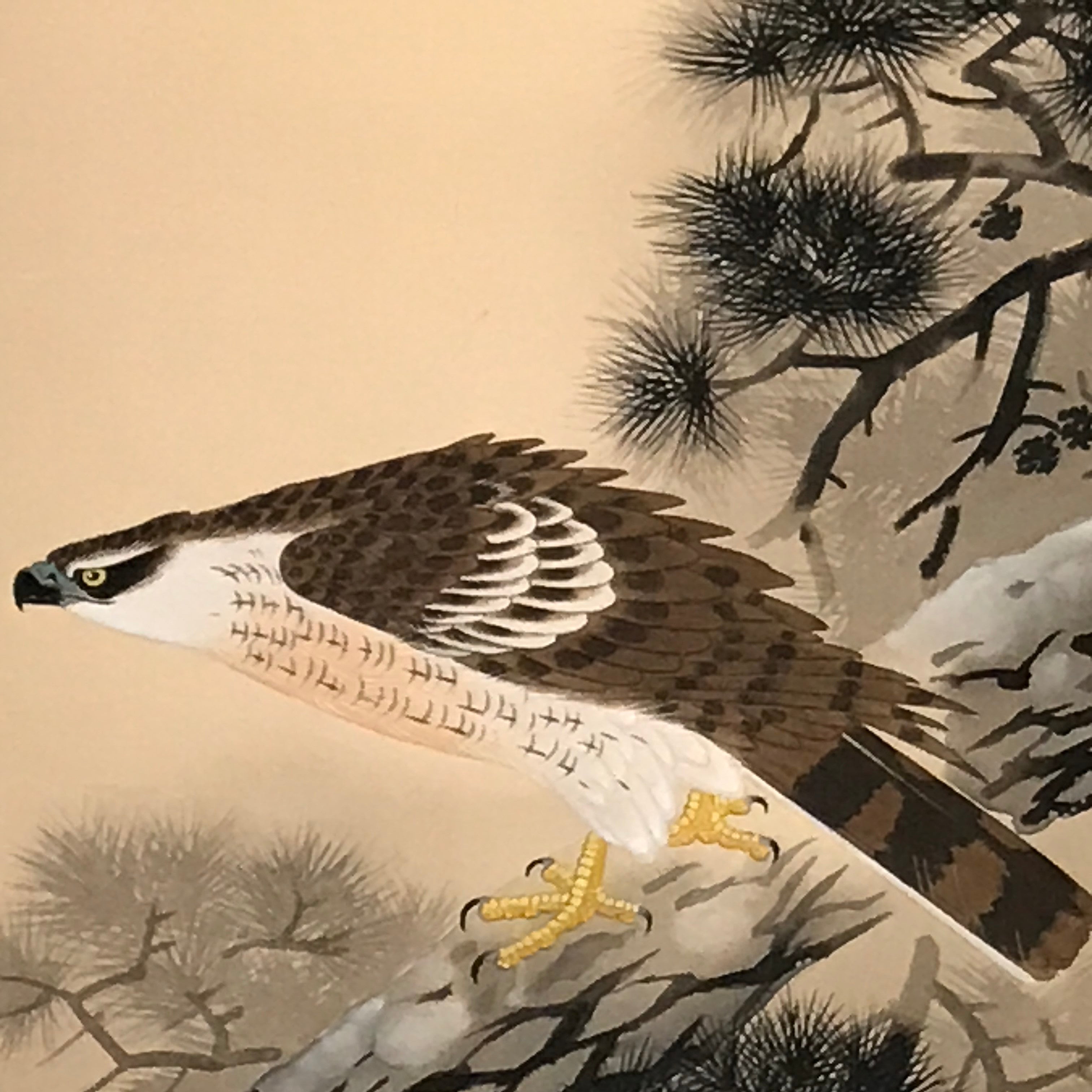 Japanese Hanging Scroll Vtg Hawk On Tree Mt Fuji Brown Yellow Kakejiku SC824