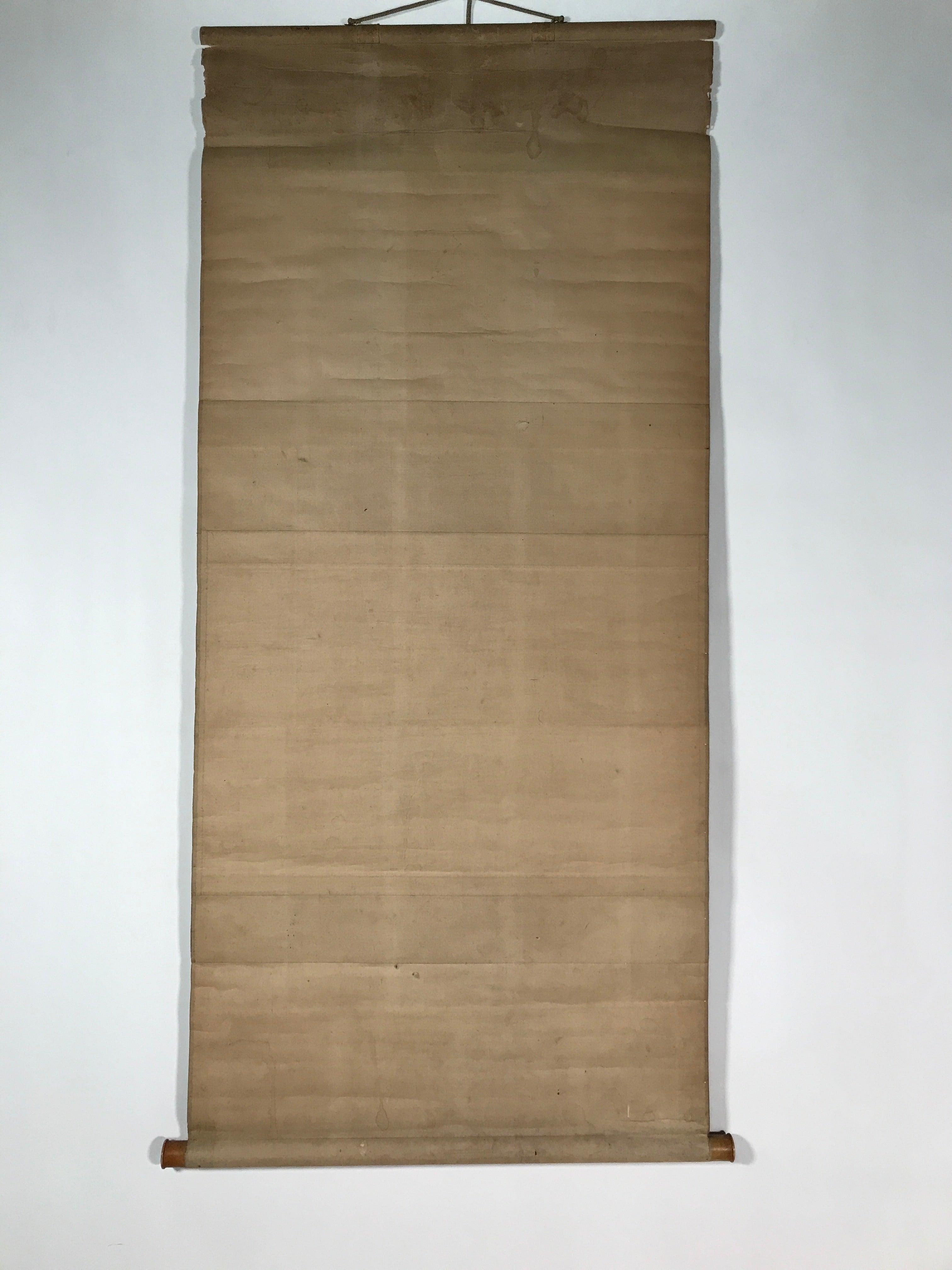Japanese Hanging Scroll Vtg Kakejiku Abstract Nature Design Plants Black KJ66
