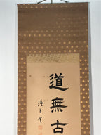Japanese Hanging Scroll Vtg Kakejiku Daruma Bodhidharma Calligraphy Black KJ119