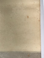 Japanese Hanging Scroll Vtg Kakejiku Koi Carps Fish Matsu Pine Red Green KJ53