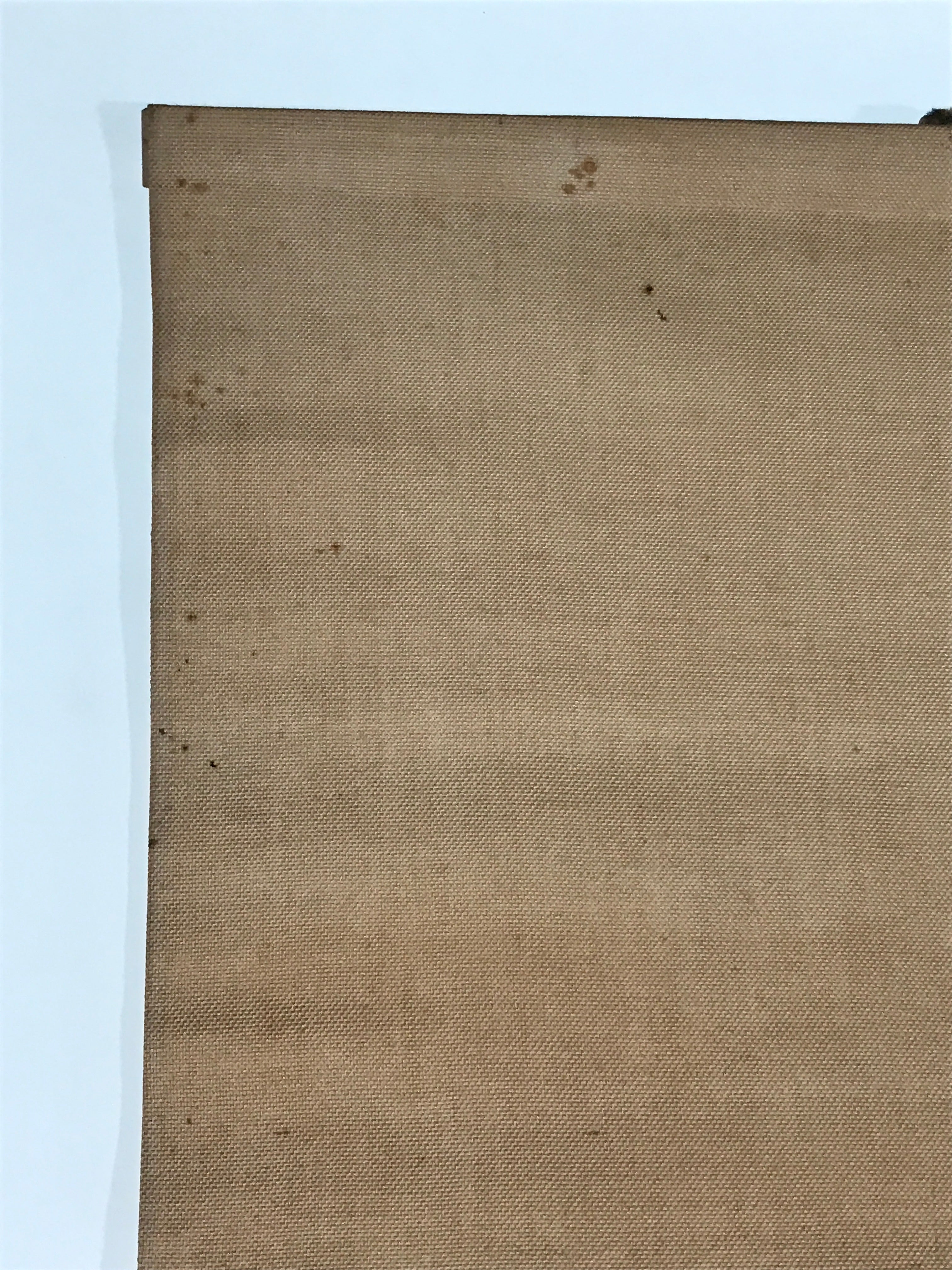 Japanese Hanging Scroll Vtg Kakejiku Mount Fuji Folding Fan Landscape Color KJ77