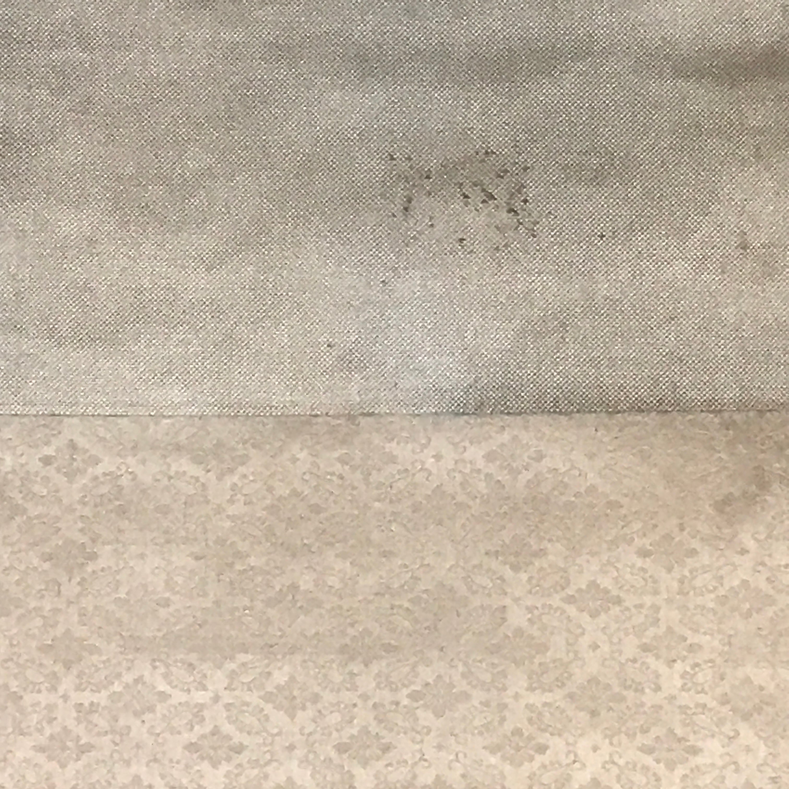 Japanese Hanging Scroll Vtg Kakejiku Red Rising Sun Calligraphy Poem Black KJ48
