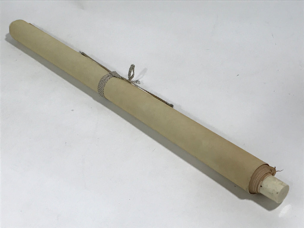 Japanese Hanging Scroll Vtg Kakejiku Swimming Carp Koi Pond Color Green KJ116