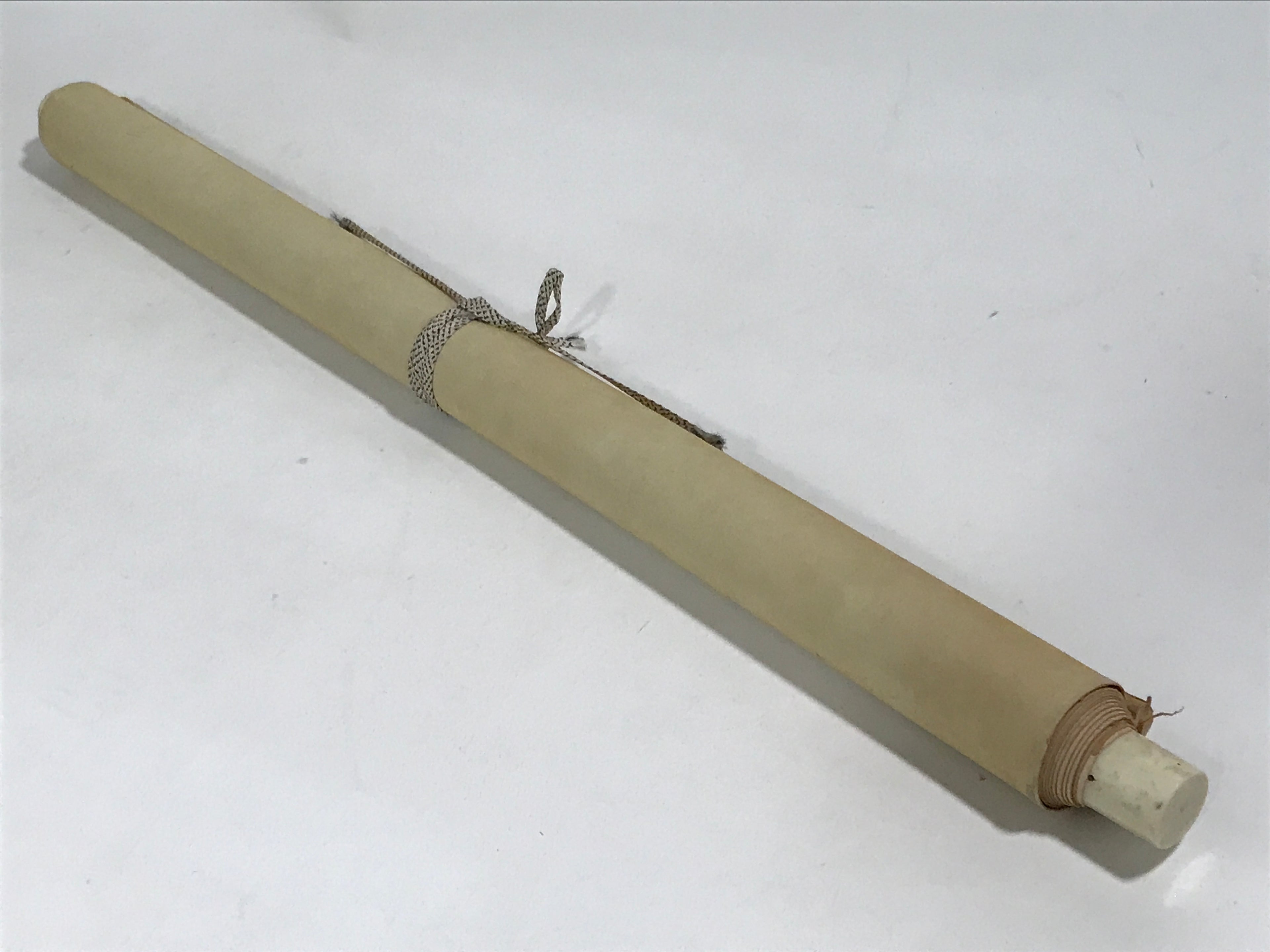 Japanese Hanging Scroll Vtg Kakejiku Swimming Carp Koi Pond Color Green KJ116