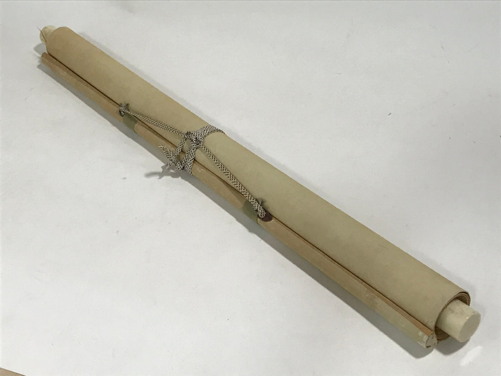 Japanese Hanging Scroll Vtg Kakejiku Swimming Carp Koi Pond Color Green KJ116