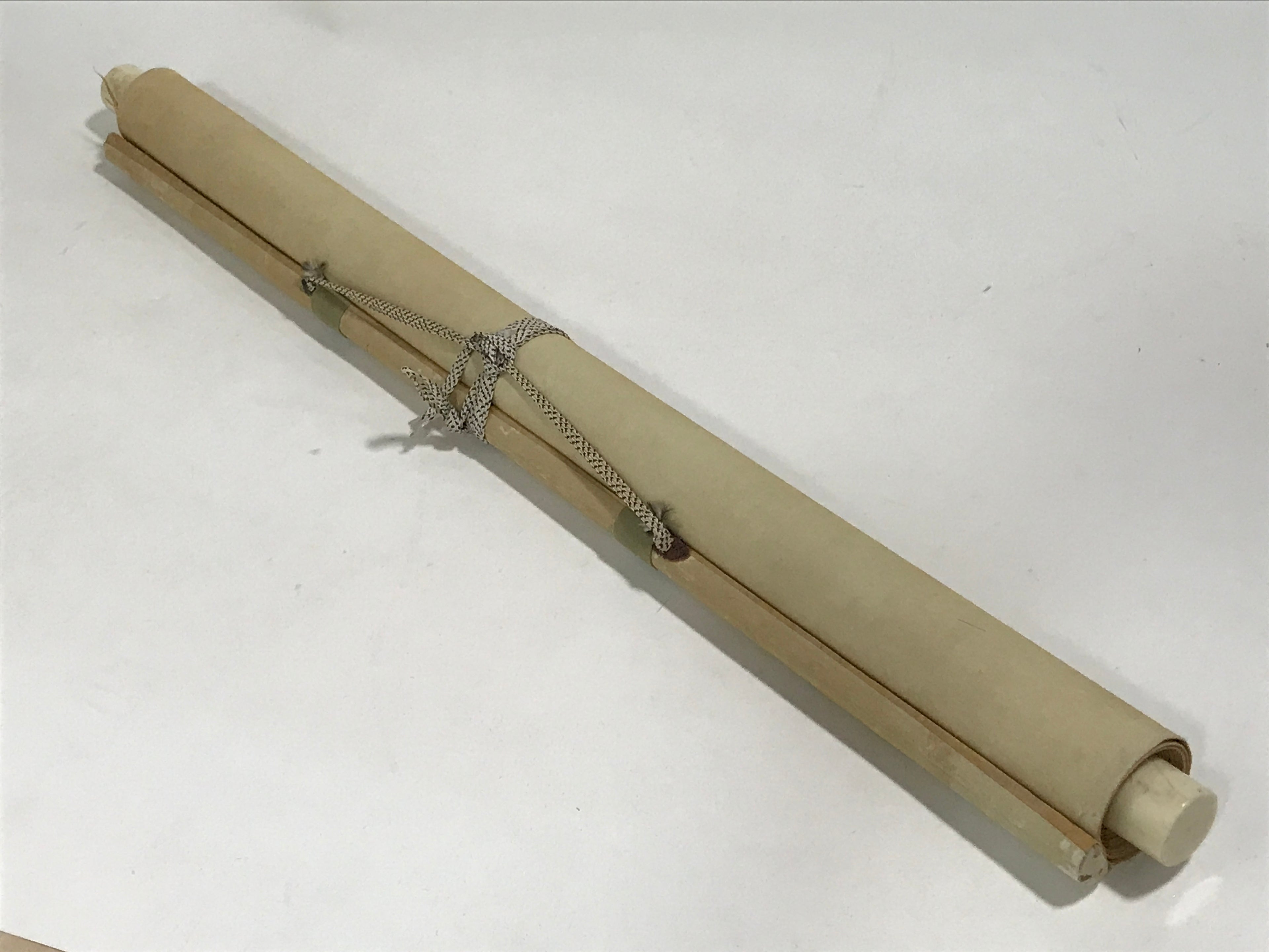 Japanese Hanging Scroll Vtg Kakejiku Swimming Carp Koi Pond Color Green KJ116