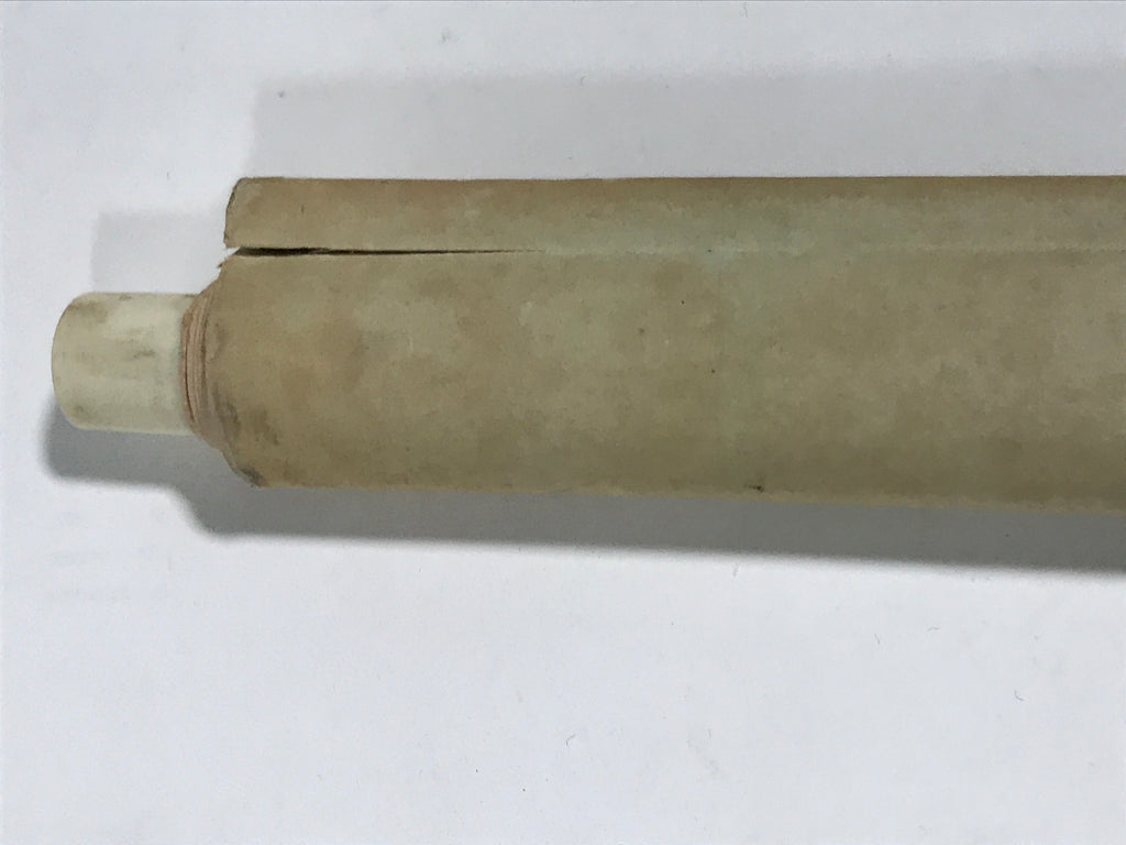 Japanese Hanging Scroll Vtg Kakejiku Swimming Carp Koi Pond Color Green KJ116