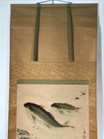 Japanese Hanging Scroll Vtg Kakejiku Swimming Carp Koi Pond Color Green KJ116