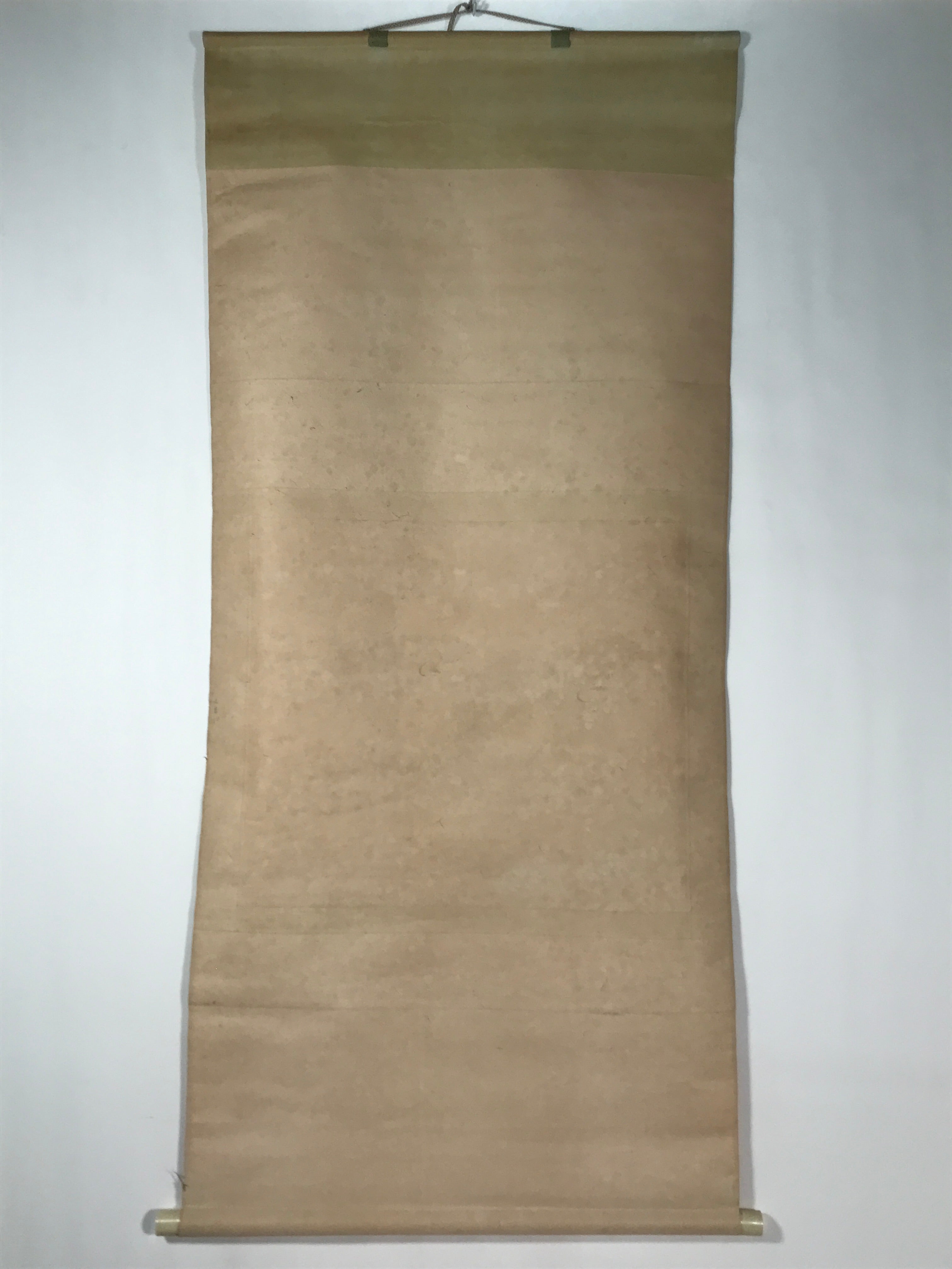 Japanese Hanging Scroll Vtg Kakejiku Swimming Carp Koi Pond Color Green KJ116