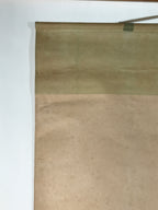 Japanese Hanging Scroll Vtg Kakejiku Swimming Carp Koi Pond Color Green KJ116